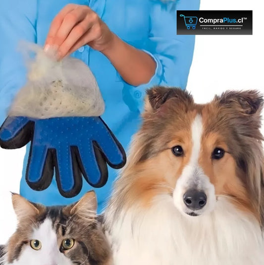 Guante Cepillo Quita Pelos para Mascotas